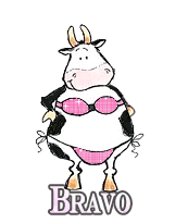 image animée bravo